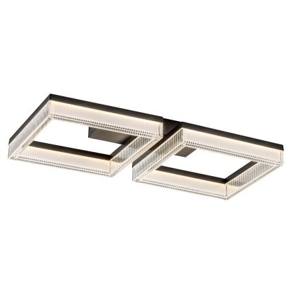 Rabalux - Plafoniera LED dimmerabile LED/24W/230V 3000-6500K + telecomando