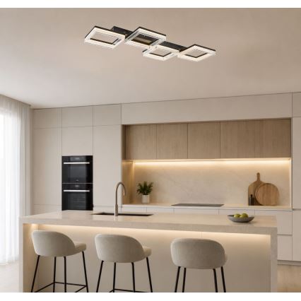 Rabalux - Plafoniera LED dimmerabile LED/40W/230V 3000-6500K + telecomando