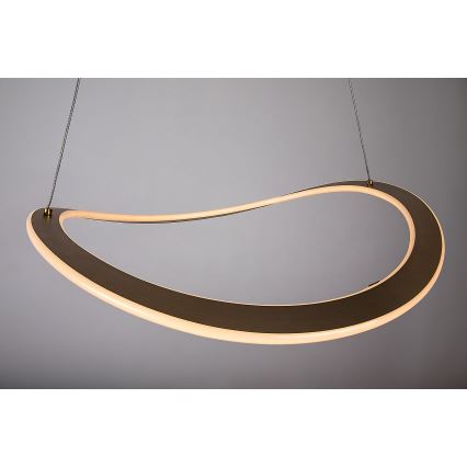 Rabalux - Lampadario LED a sospensione con cavo LED/40W/230V 3000K