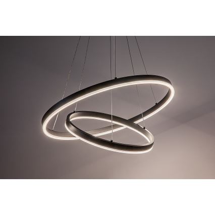Rabalux - Lampada a sospensione LED dimmerabile su cavo LED/80W/230V 3000-6500K + telecomando