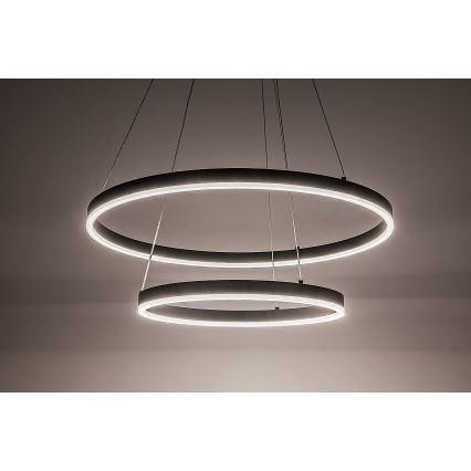 Rabalux - Lampada a sospensione LED dimmerabile su cavo LED/80W/230V 3000-6500K + telecomando