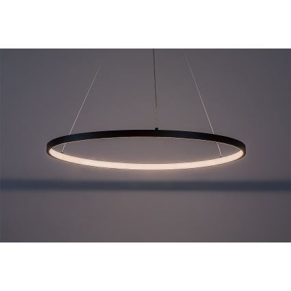 Rabalux - Lampadario LED a cavo LED/55W/230V 3000K
