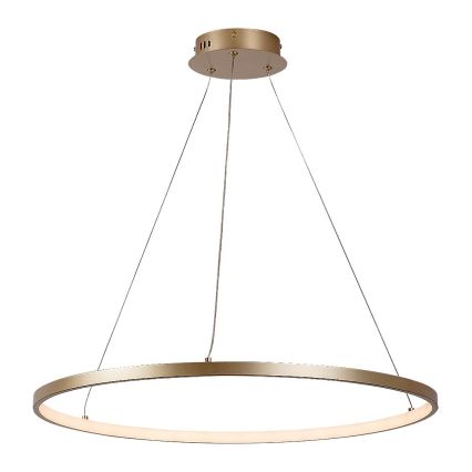 Rabalux - Lampadario a sospensione su cavo LED/55W/230V 3000K