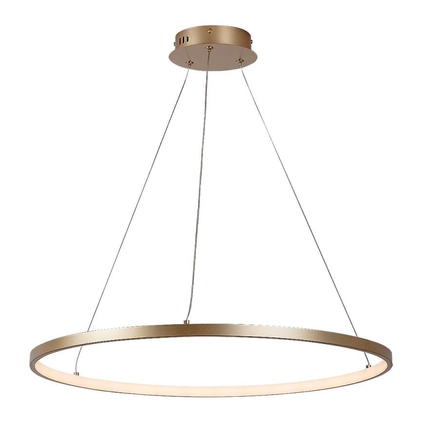 Rabalux - Lampadario a sospensione su cavo LED/55W/230V 3000K