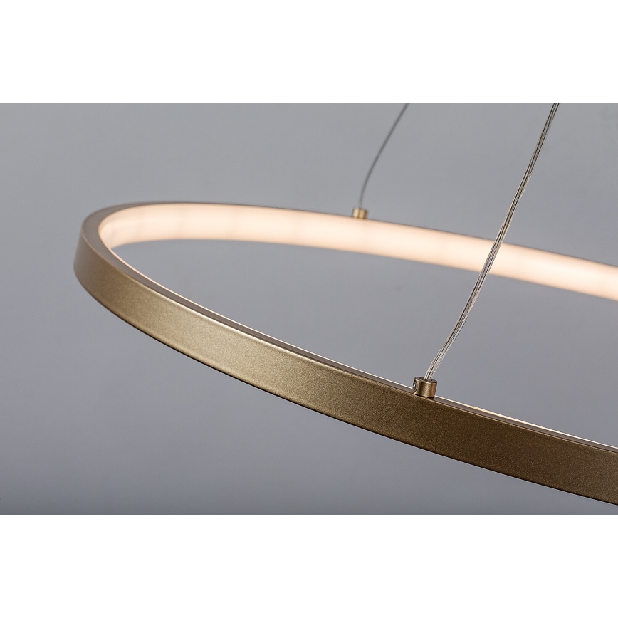 Rabalux - Lampadario a sospensione su cavo LED/55W/230V 3000K