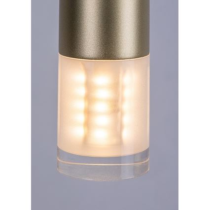 Rabalux - Lampadario a sospensione con filo 1xG9/5W/230V oro