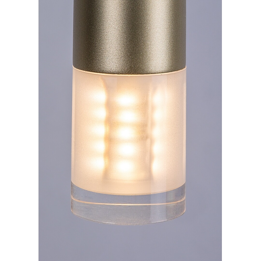 Rabalux - Lampadario a sospensione con filo 1xG9/5W/230V oro