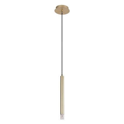 Rabalux - Lampadario a sospensione con filo 1xG9/5W/230V oro