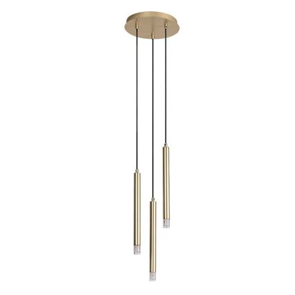 Rabalux - Lampadario a sospensione con filo 3xG9/5W/230V oro