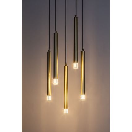 Rabalux - Lampadario a sospensione con filo 5xG9/5W/230V oro