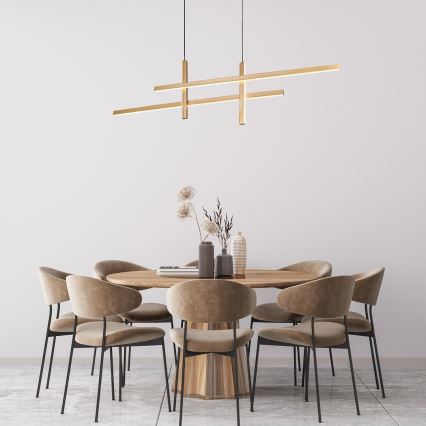 Rabalux - Lampadario LED a sospensione con filo LED/40W/230V 3000K