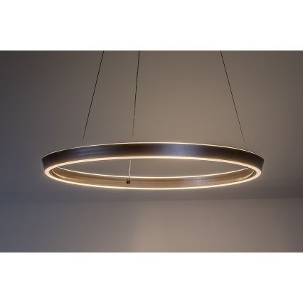 Rabalux - Lampadario LED dimmerabile a sospensione con cavo LED/36W/230V 3000-6500K + telecomando