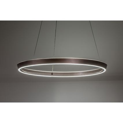 Rabalux - Lampadario LED dimmerabile a sospensione con cavo LED/36W/230V 3000-6500K + telecomando