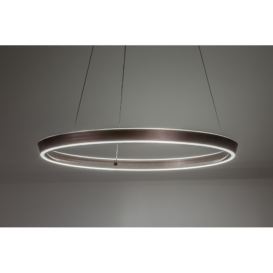 Rabalux - Lampadario LED dimmerabile a sospensione con cavo LED/36W/230V 3000-6500K + telecomando