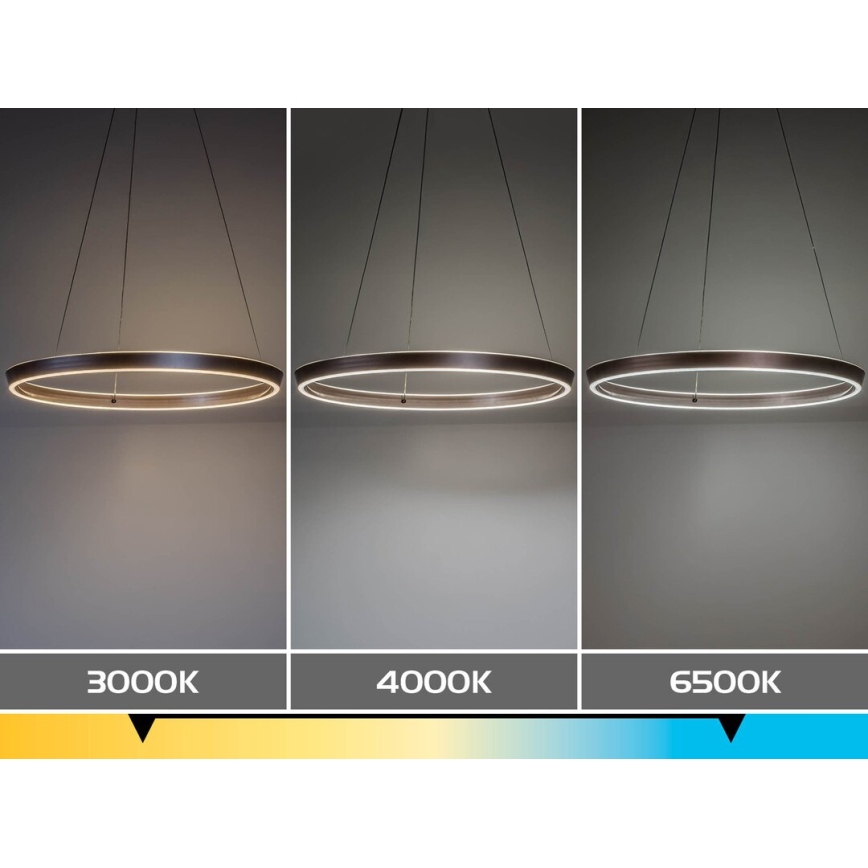 Rabalux - Lampadario LED dimmerabile a sospensione con cavo LED/36W/230V 3000-6500K + telecomando