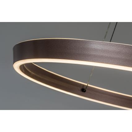 Rabalux - Lampadario LED dimmerabile a sospensione con cavo LED/36W/230V 3000-6500K + telecomando