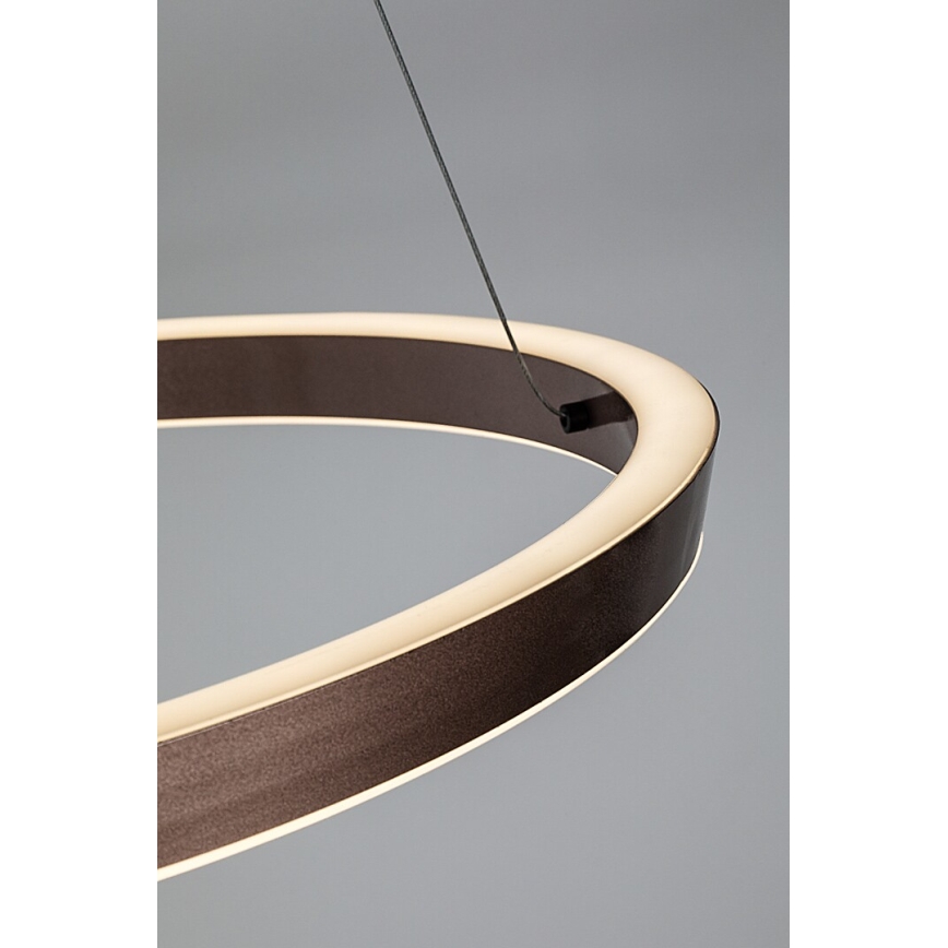 Rabalux - Lampadario LED dimmerabile a sospensione con cavo LED/36W/230V 3000-6500K + telecomando