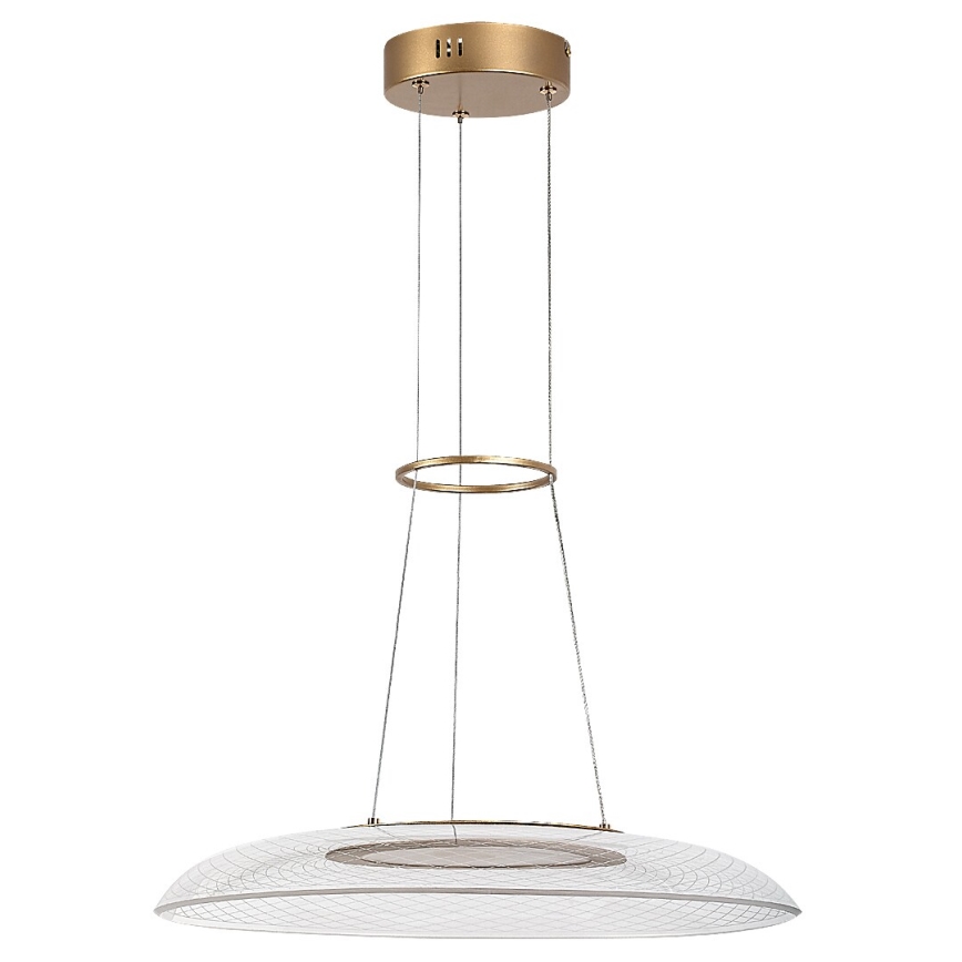 Rabalux - Lampadario LED sospeso con cavo LED/24W/230V 3000K