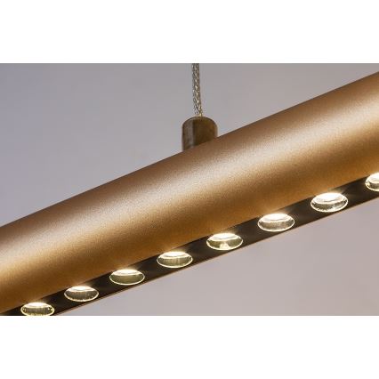 Rabalux - Lampadario LED a sospensione con cavo LED/24W/230V 3000K