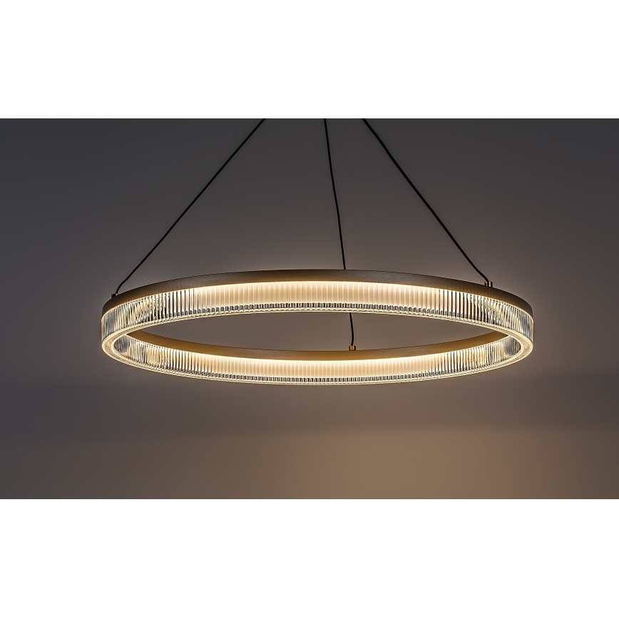 Rabalux - Lampadario LED dimmerabile a sospensione su cavo LED/24W/230V 3000-6500K + telecomando