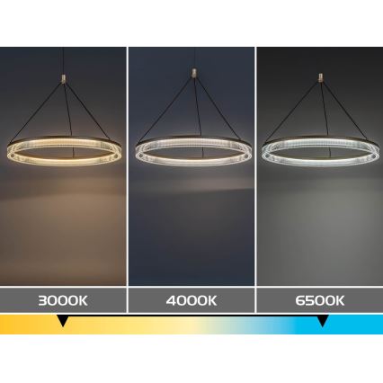 Rabalux - Lampadario LED dimmerabile a sospensione su cavo LED/24W/230V 3000-6500K + telecomando