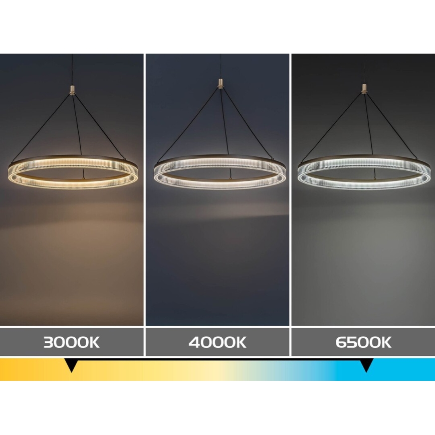 Rabalux - Lampadario LED dimmerabile a sospensione su cavo LED/24W/230V 3000-6500K + telecomando