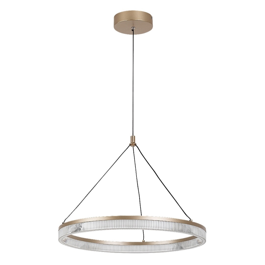 Rabalux - Lampadario LED dimmerabile a sospensione su cavo LED/24W/230V 3000-6500K + telecomando