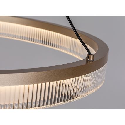 Rabalux - Lampadario LED dimmerabile a sospensione su cavo LED/24W/230V 3000-6500K + telecomando