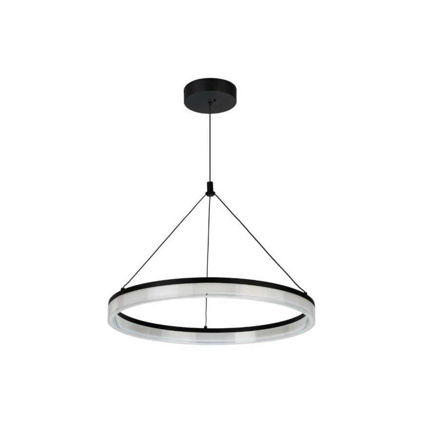 Rabalux - Lampadario LED dimmerabile a sospensione con cavo LED/24W/230V 3000-6500K + telecomando