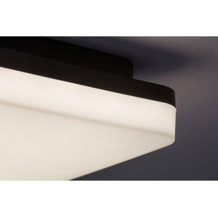 Rabalux - Plafoniera LED da bagno LED/24W/230V IP54