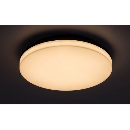 Rabalux - Plafoniera LED da soffitto per bagno LED/24W/230V IP54 Ø 28 cm