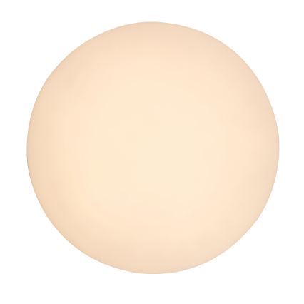 Rabalux - Plafoniera LED da soffitto per bagno LED/24W/230V IP54 Ø 28 cm