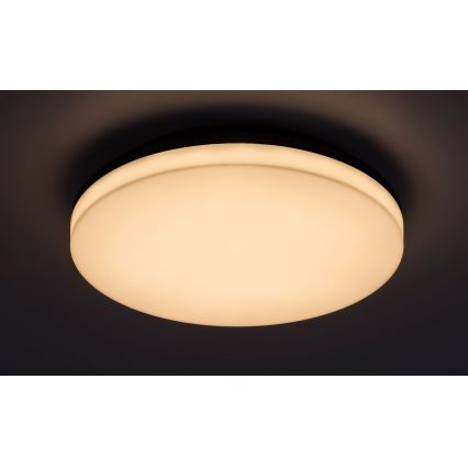 Rabalux - Plafoniera LED da bagno LED/24W/230V IP54