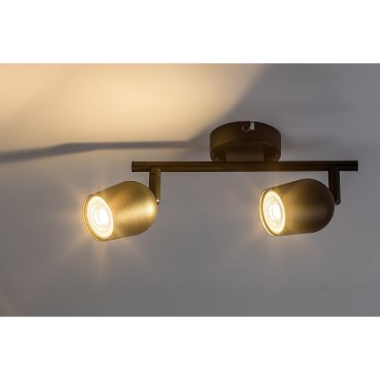 Rabalux - Faretto orientabile 2xGU10/15W/230V nero