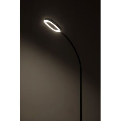 Rabalux - Lampada da terra touch LED dimmerabile LED/11W/230V 3000K