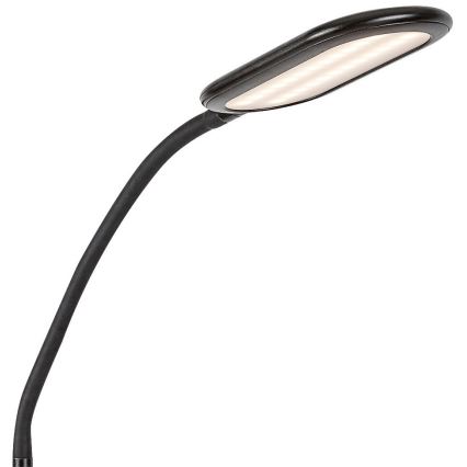 Rabalux - LED Dimmerabile touch lampada con piedistallo LED/10W/230V 3000-6000K nero