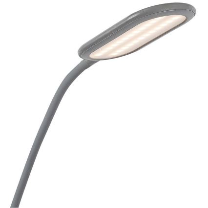 Rabalux - LED Dimmerabile touch lampada con piedistallo LED/10W/230V 3000-6000K grigio