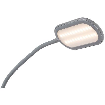 Rabalux - LED Dimmerabile touch lampada con piedistallo LED/10W/230V 3000-6000K grigio