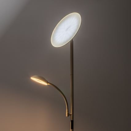 Rabalux - LED Lampada da terra dimmerabile LED/23W/230V 3000/4200/6500 beige