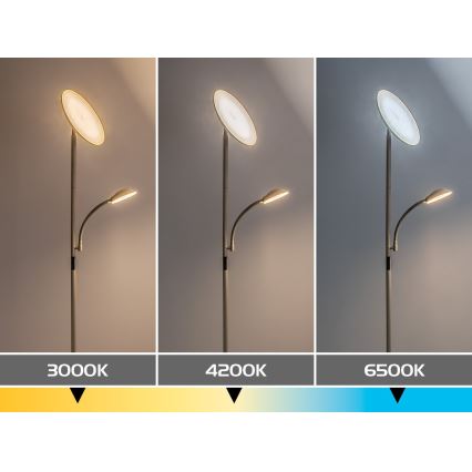 Rabalux - LED Lampada da terra dimmerabile LED/23W/230V 3000/4200/6500 beige