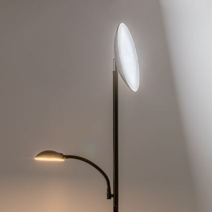 Rabalux - Lampada da terra LED dimmerabile LED/23W/230V 3000/4200/6500 nera