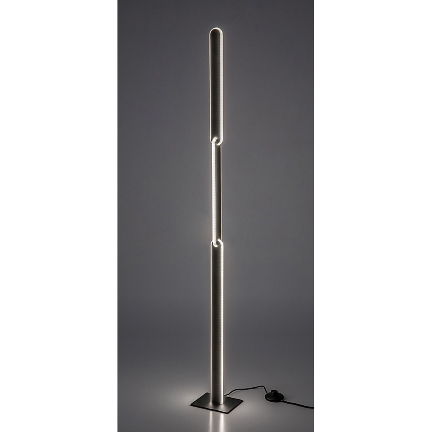 Rabalux - Lampada da terra dimmerabile a LED LED/33W/230V 3000/4000K nero