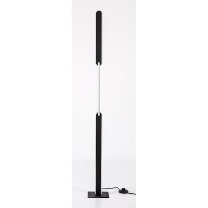 Rabalux - Lampada da terra dimmerabile a LED LED/33W/230V 3000/4000K nero