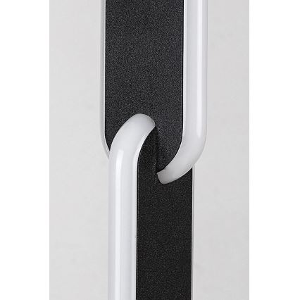 Rabalux - Lampada da terra dimmerabile a LED LED/33W/230V 3000/4000K nero