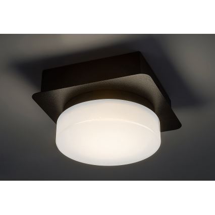 Rabalux - Plafoniera LED da bagno LED/5W/230V IP44 4000K nero