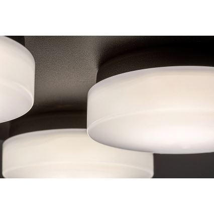 Rabalux - Plafoniera LED da bagno 4xLED/5,2W/230V IP44 nero