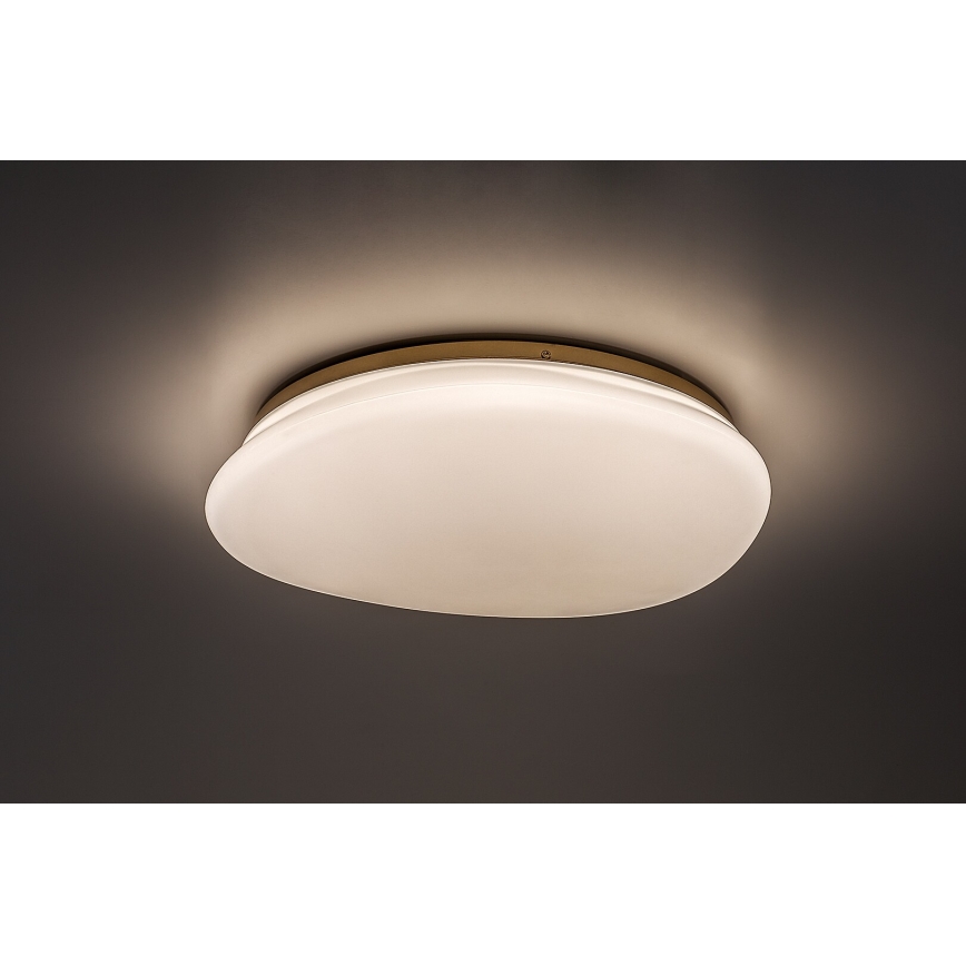 Rabalux - Plafoniera da bagno LED/24W/230V IP44 Ø 41 cm