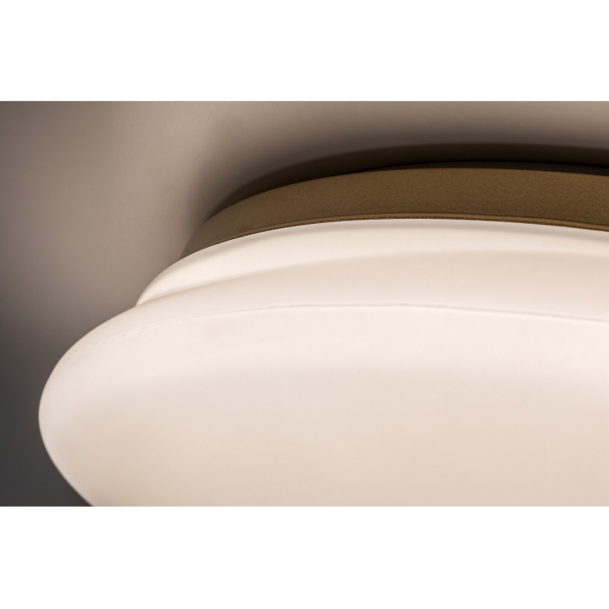 Rabalux - Plafoniera da bagno LED/24W/230V IP44 Ø 41 cm