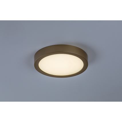 Rabalux - Plafoniera da bagno LED 24W 230V Ø 22 cm IP44, finitura oro