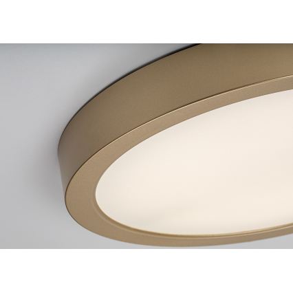 Rabalux - Plafoniera LED per bagno LED/30W/230V Ø 30 cm IP44 dorata